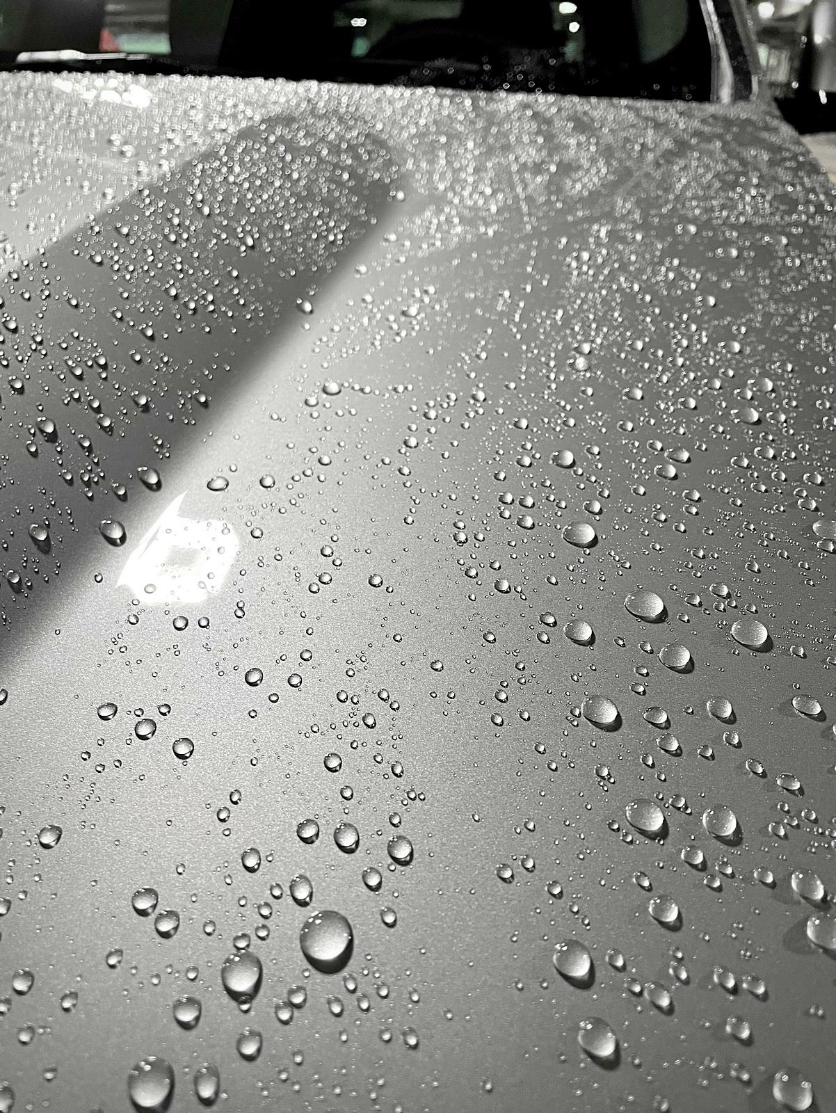 Professional ceramic coating Gold Coast – hydrophobic water beading on vehicle paintwork